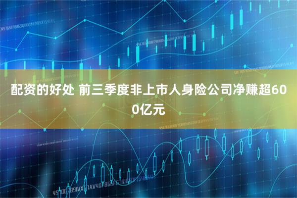 配资的好处 前三季度非上市人身险公司净赚超600亿元