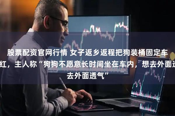股票配资官网行情 女子返乡返程把狗装桶固定车顶走红，主人称“狗狗不愿意长时间坐在车内，想去外面透气”
