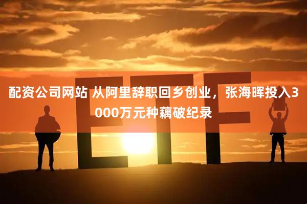 配资公司网站 从阿里辞职回乡创业，张海晖投入3000万元种藕破纪录